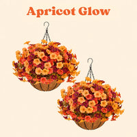 Apricot Glow
