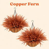 Copper Fern