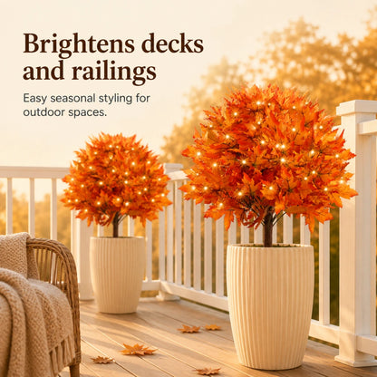 LED Lighted Maple Trees Set