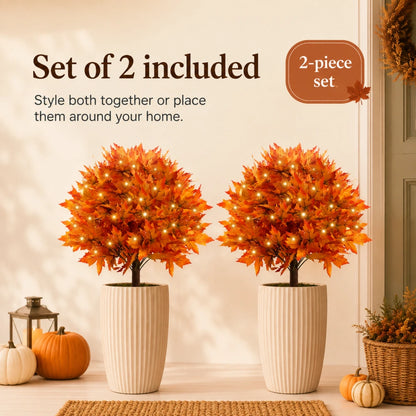 LED Lighted Maple Trees Set