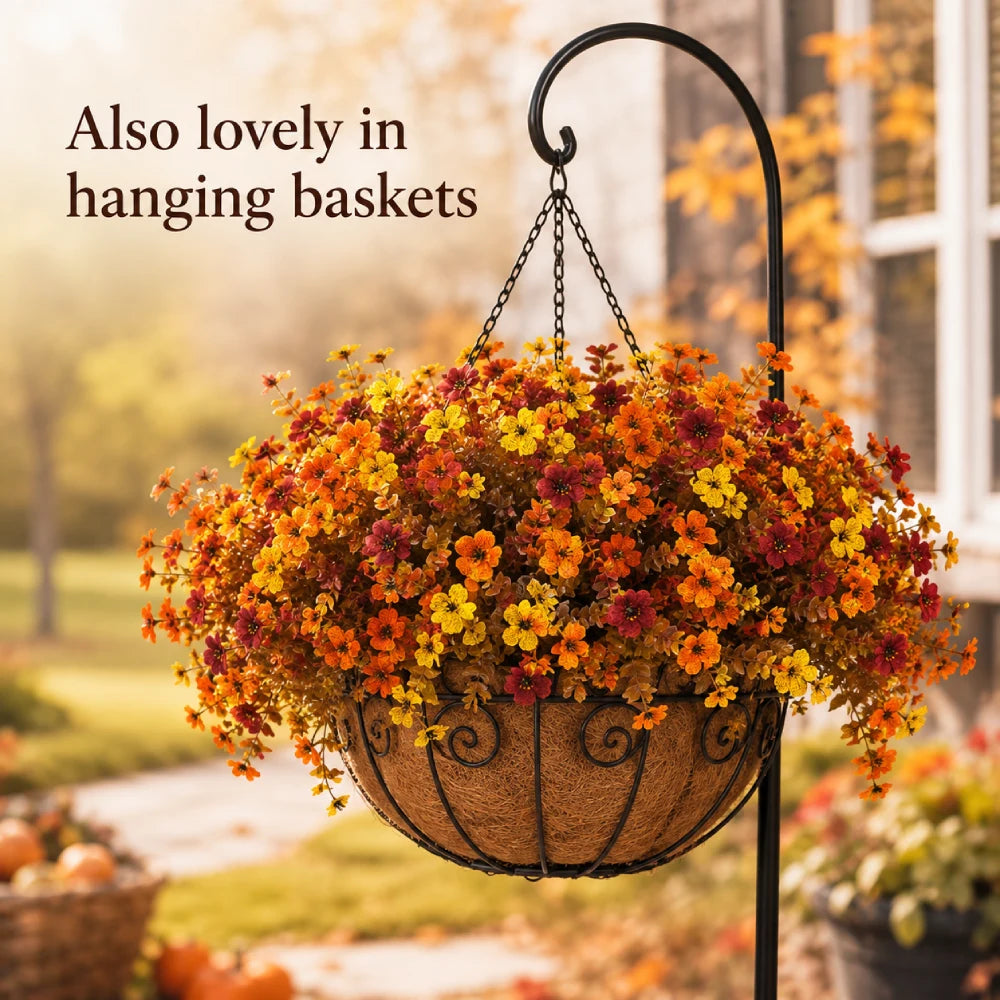 Autumn Flowers